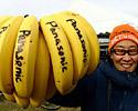 (Click for larger image) The Panasonic bananas... are supercharged for extra special energy power
