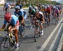 (Click for larger image) All the jersey winners join in the main peloton 