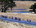 (Click for larger image) The women's peloton passes through some of Mt Torrens' farmland