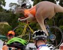 (Click for larger image) A kangaroo!  This must be an Aussie road race.