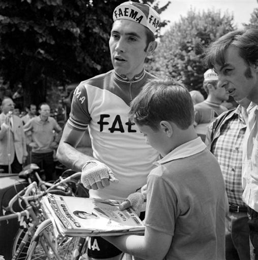 Eddy Merckx Faema