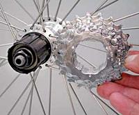Freehub body and cassette cogs